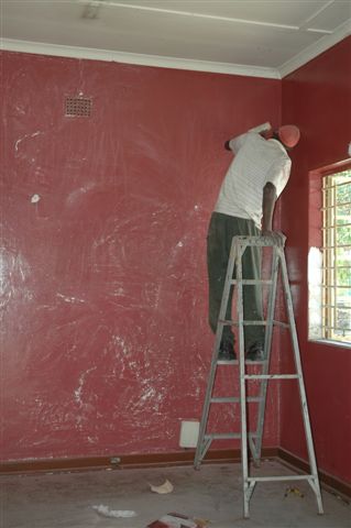 Welcome is up the ladder and sanding the walls down in the new office area. The terrible Brothel pink colour will soon be a thing of the past