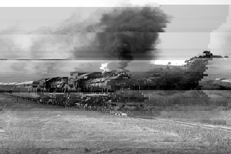 Joanna's whistle is shrieking as she approaches the Montrose crossing