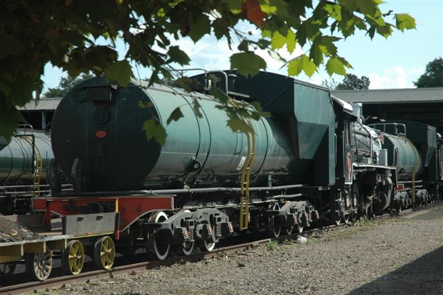 Autumn leaves: As the season changes and the leaves turn to autumn colours, so too does the paintwork on the withdrawn class 19D at the Rovos depot