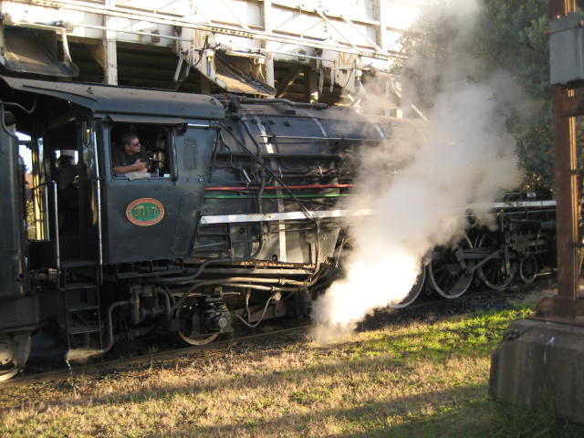 3117 stands under the coal stage. Steam escapes from the blowdown cock, opened for the photographers
