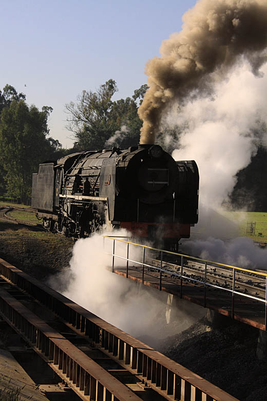 3117 in action on the ashpits