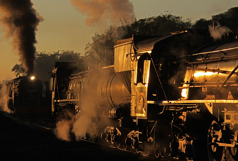 Living breathing engines everywhere in the gold of dawn