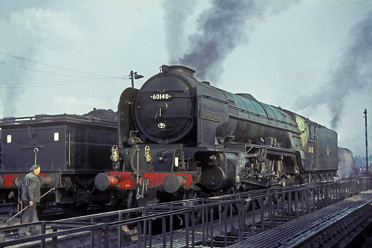 Photo by David Rodgers 1964