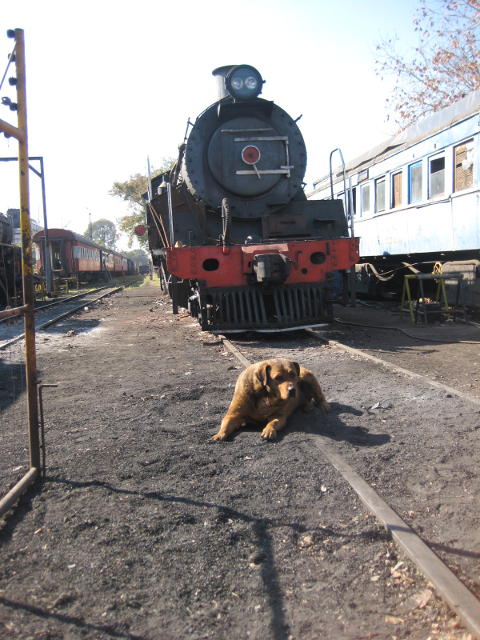 Guarding 3664