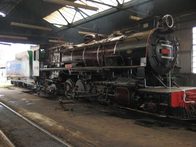 3020 in steam
