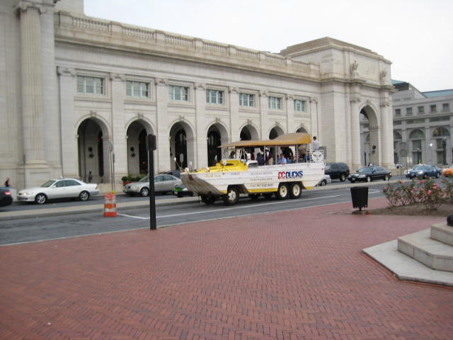duck_IMG_3902.JPG