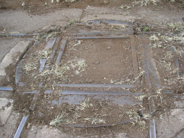turntable_IMG_4395.JPG