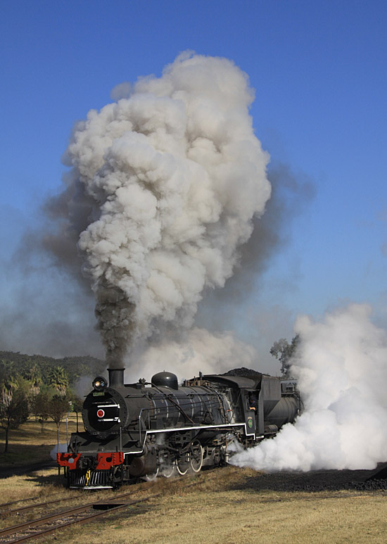 photogalamay2011 453z.jpg