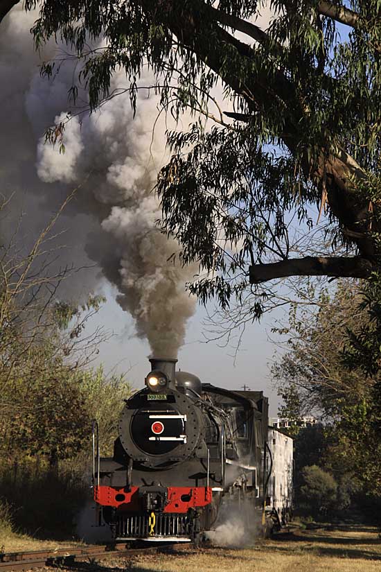 photogalamay2011 289z.jpg