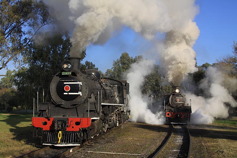 photogalamay2011 228z.jpg