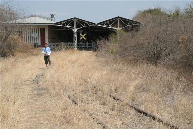 Tracks leading into the station.