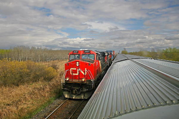 IMG_2054ems.jpg