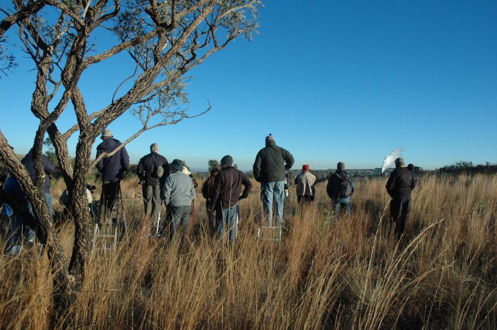 Professional photographers, under the guidance of David Ben, await the moment to press the shutter, at the top of the old Abbatoir koppie, whilst the class 24 makes an appearance.