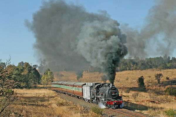 IMG_8503ems.jpg