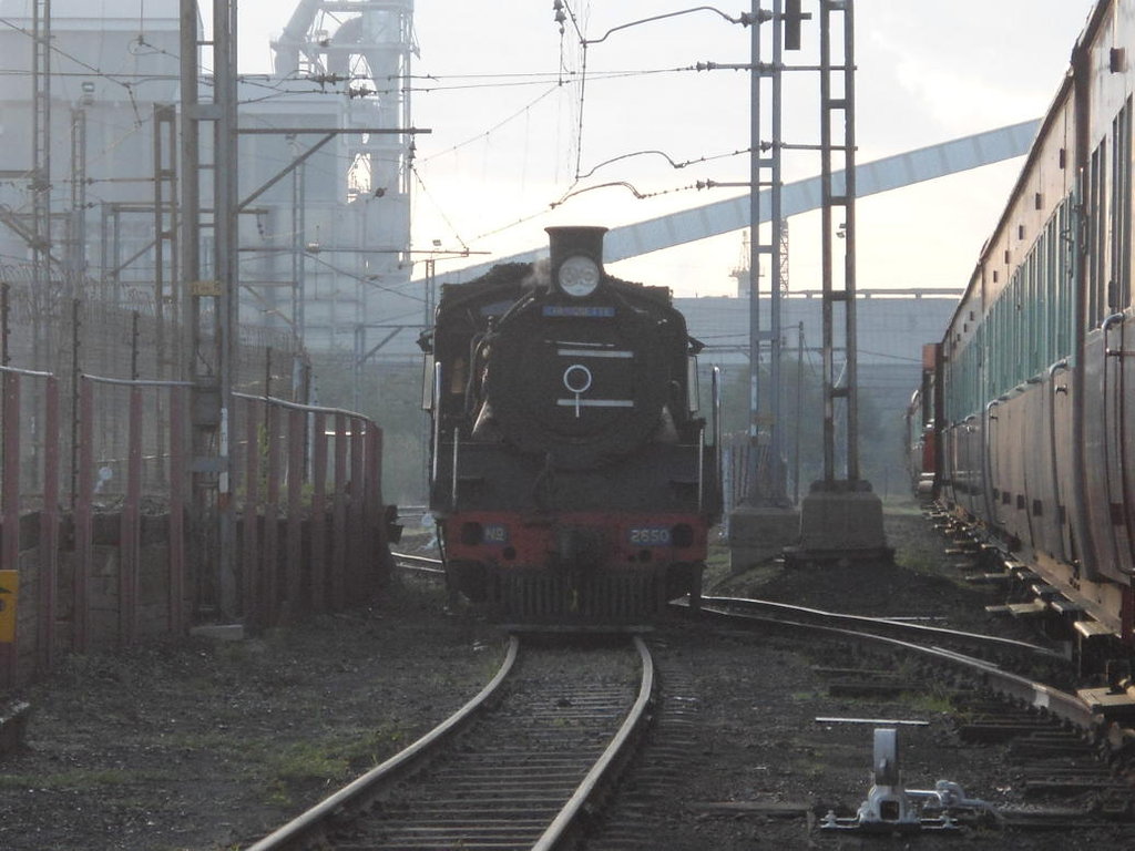 2650 stands in Hermanstad early in the morning back-lit by the newly-risen sun