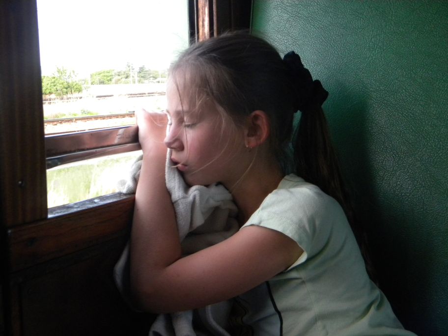 A tired passenger at the end of the day!