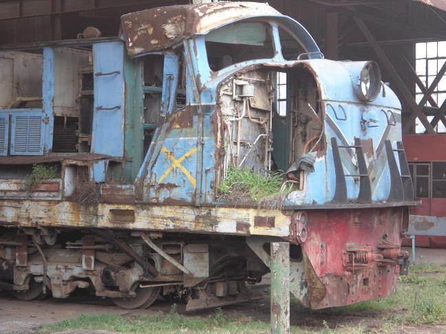 An optional extra in the workshop: a garden in the nose of a diesel loco