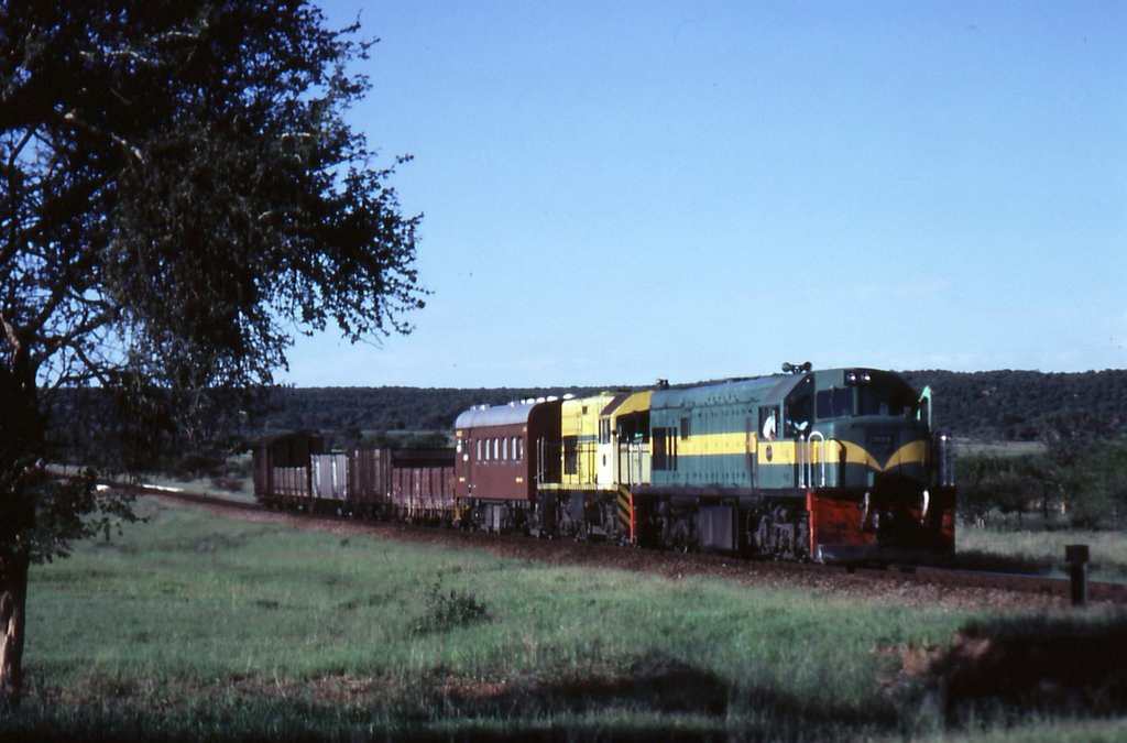 diesel_142.jpg