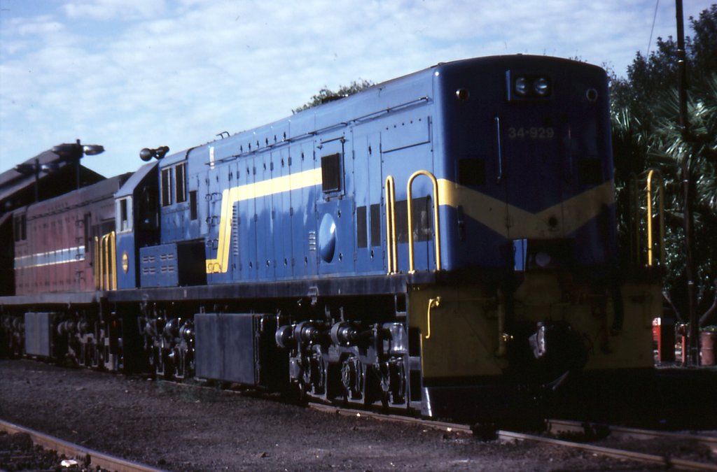 diesel_014.jpg