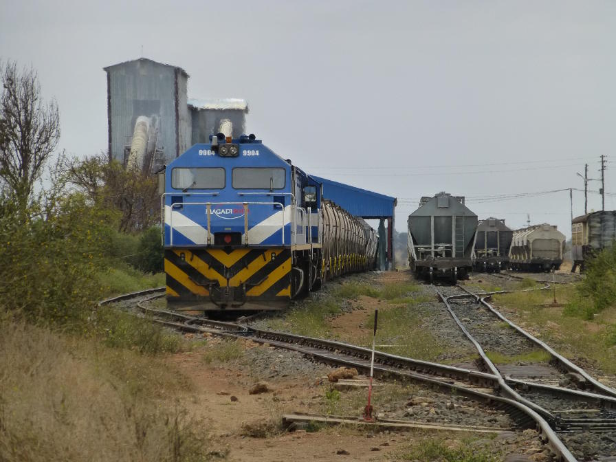 bP1000737.JPG