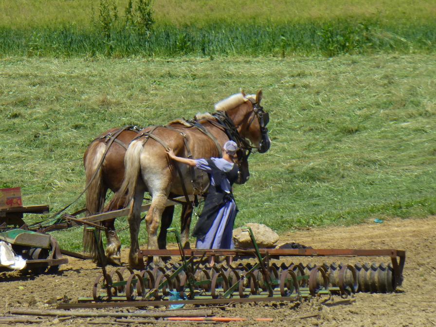 Another authentic Amish scene. This is real everyday life, not something staged for heritage purposes.