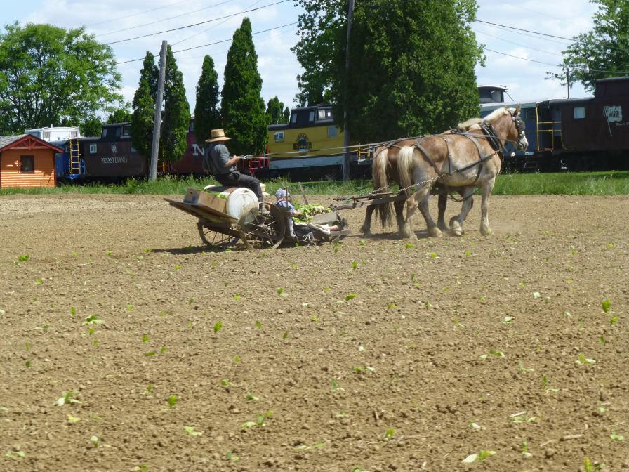 This is Amish country. A farmer tends his field. Some of the cabooses of the Red Caboose Motel can be seen in the background.