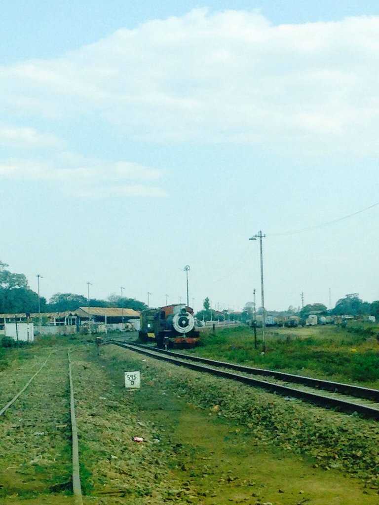 photo1.jpg