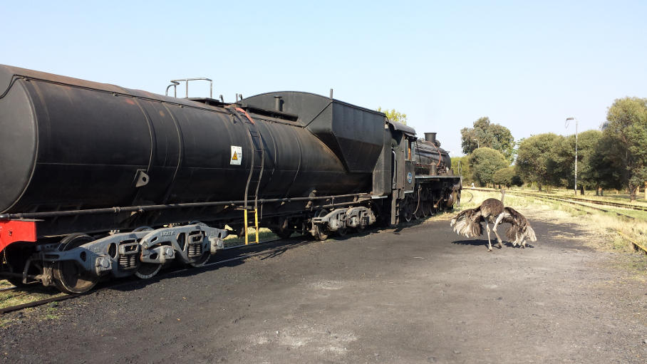 2650 departs Capital Park, with Rovos Rail's ostrich in sight