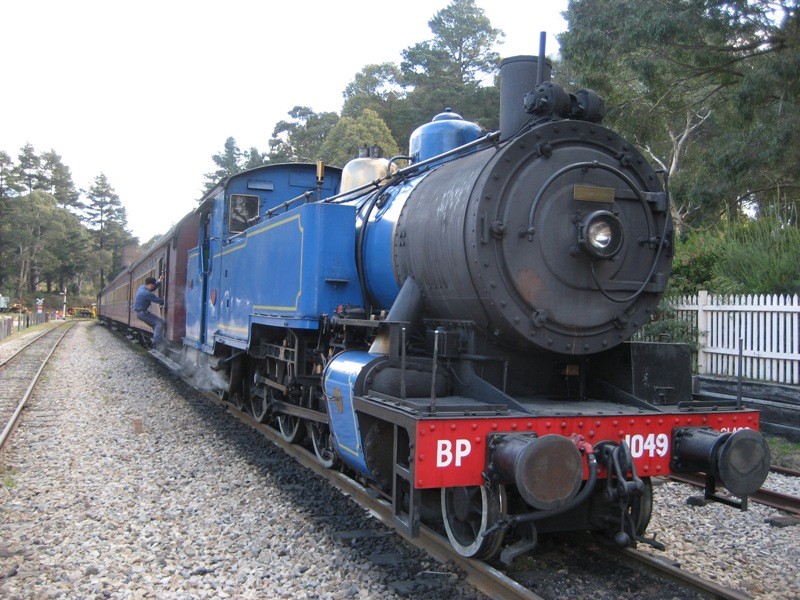 zz8.jpg