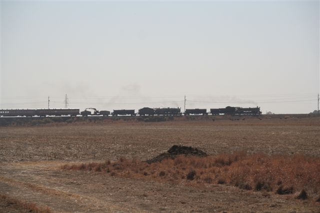 August on the Highveld. The bleakness sowed by the harsh winter is broken by the passage of a steam train.