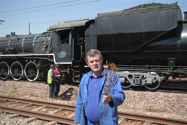 Flower collector. Steve Smith with his prize bunch of Bronkhorstspruit blackjacks, picked and donated by CA Janisch.