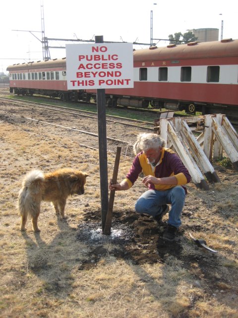 Dogs can't read