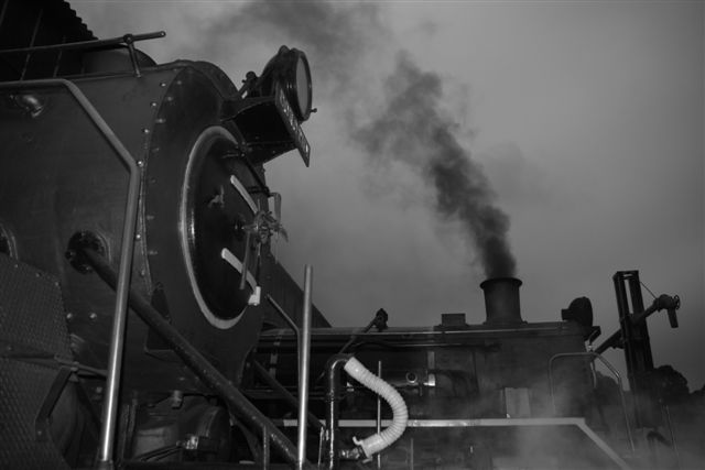 Early misty morning at the shed, CA and Dolly in repose.