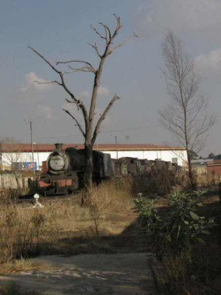 &amp;quot;DEATH &amp;amp; DESTRUCTION&amp;quot; is the title of this pic! Many years of hard labour, the once pride and humble steeds of the South African Railways, their skeletons stand in silent testimony, of what once was the pride of SA, alongside trees that once