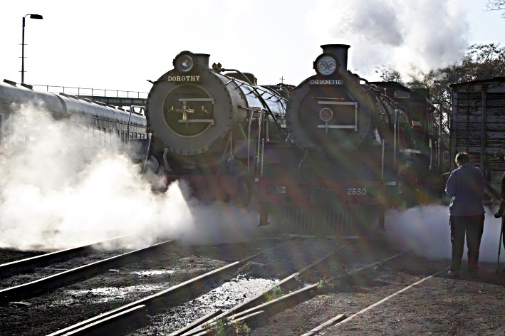19D 2650 and 15CA 2056 at Cpk