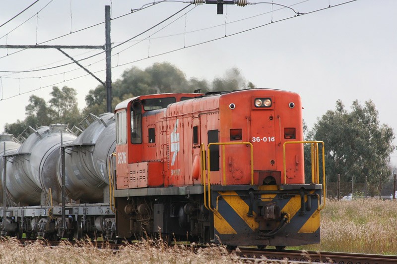 36016p.jpg