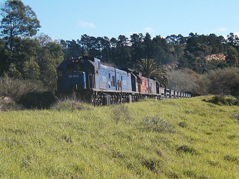 P1010044.jpg