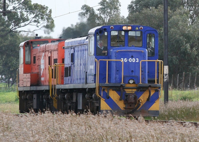 36003.jpg