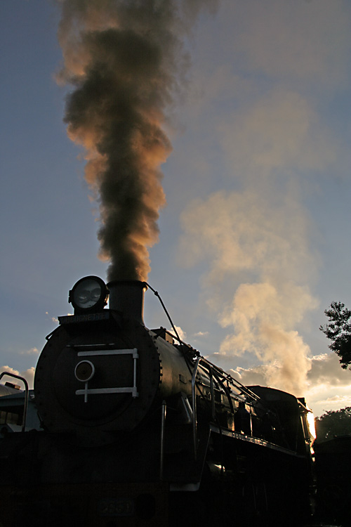 february2009 295z.jpg