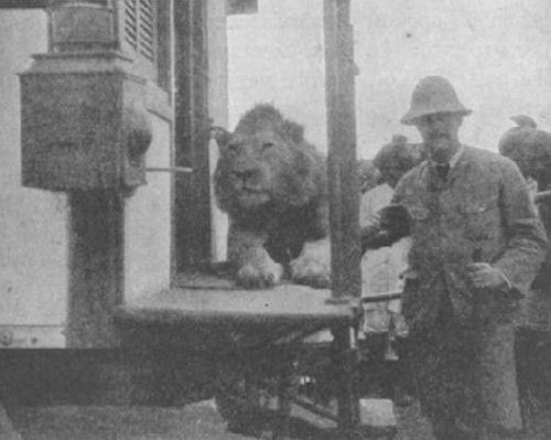 Patterson with lion kill
