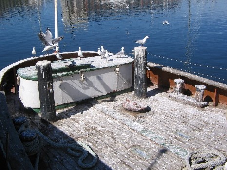 Aft deck.jpg