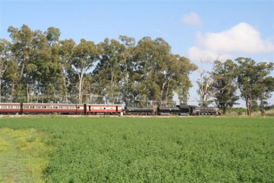 C Janisch