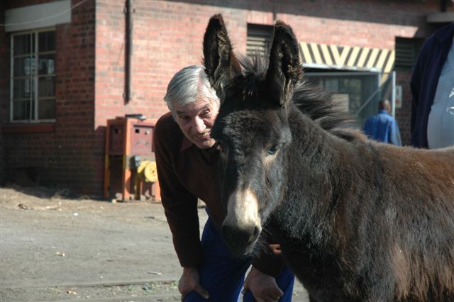 Pin the tail on the donkey... and spot the difference!