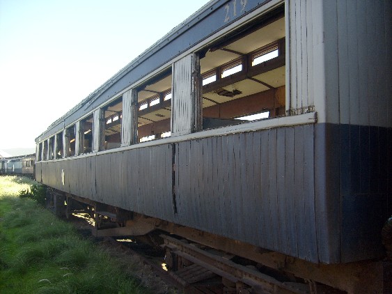 Protea 219.jpg