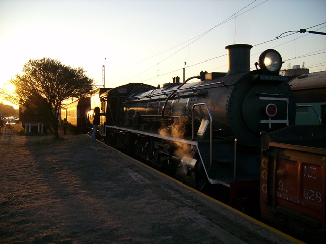 Tshwane explorer 26 07 063.jpg