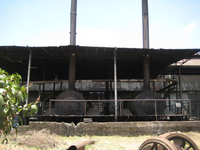 IMG_1990s.JPG