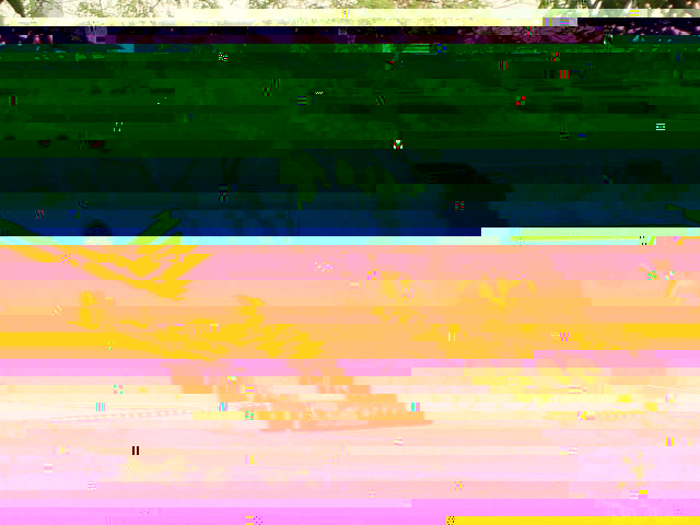 Barend Botha 05-09-2009