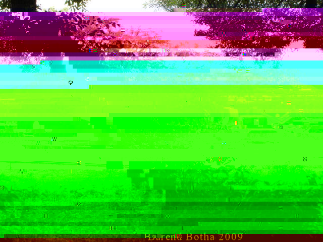 Barend Botha 05-09-2009