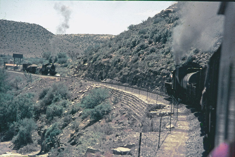 19D x 19B 1407 at Pretoriuskloof 1974.jpg