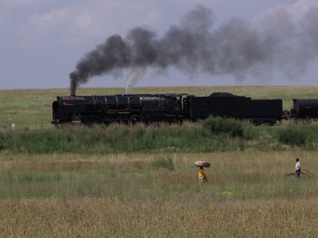 Reefsteamers 2010 013.jpg